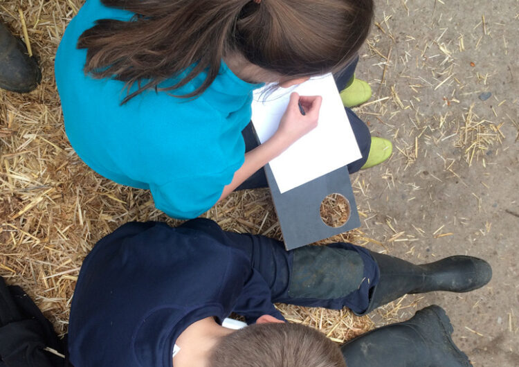 zwei Kinder sitzen auf einem Strohballen und schreiben, Bild aus der Vogelperspektive